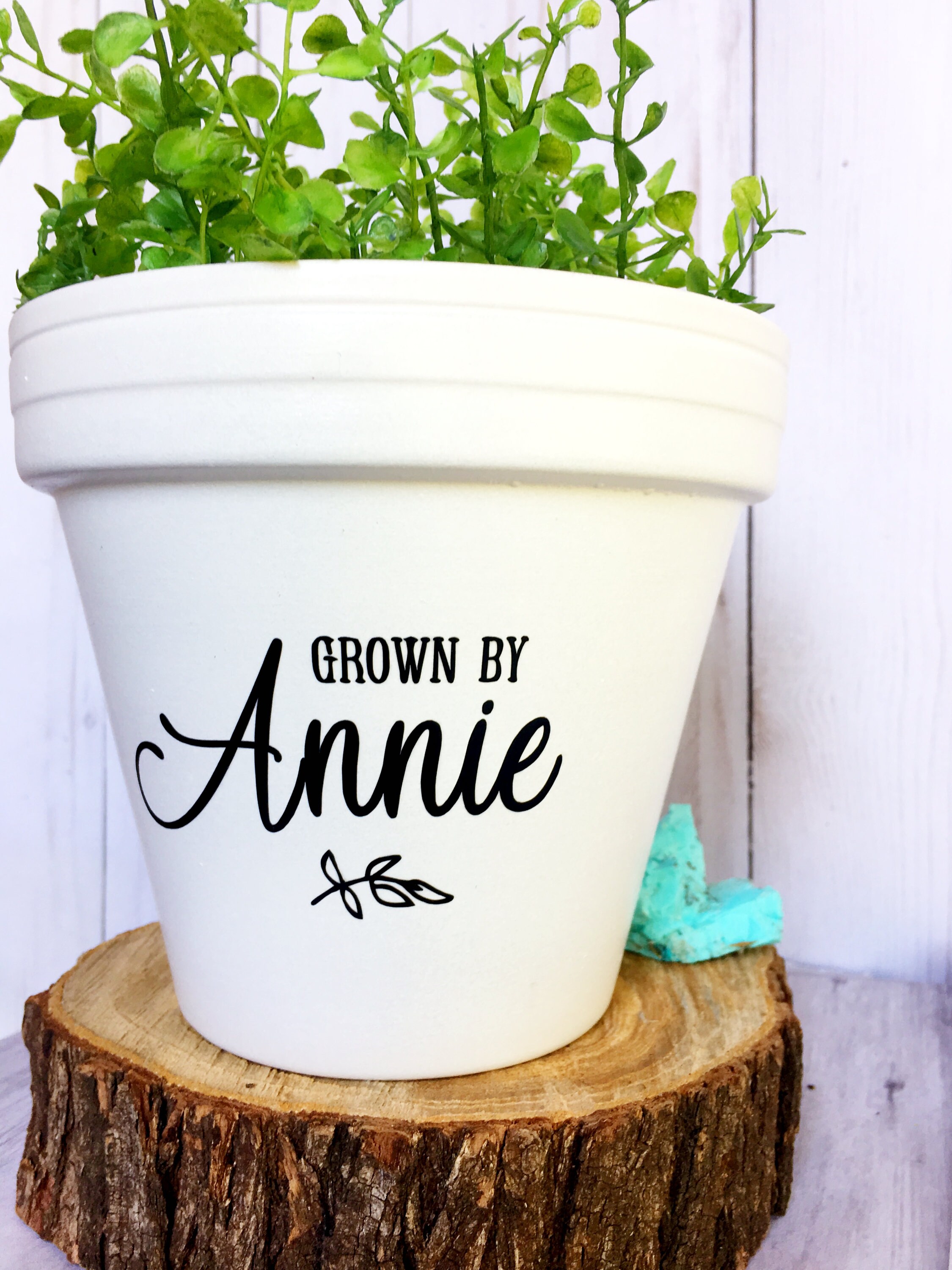 2. Botanical Expressions: Personalized Pot Plants