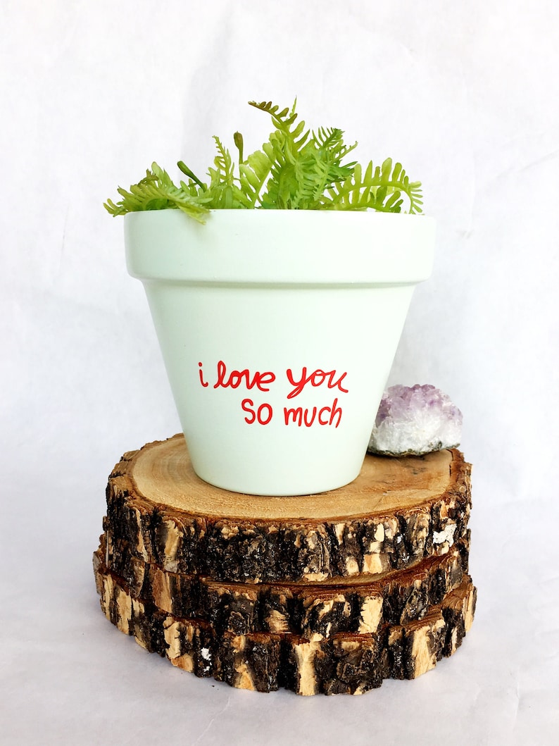 May include: A white ceramic planter with the words "i love you so much" written in red. The planter is filled with green ferns and is sitting on a stack of wooden slices.