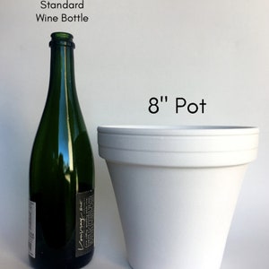 May include: A standard size wine bottle next to an 8 inch white plastic pot.