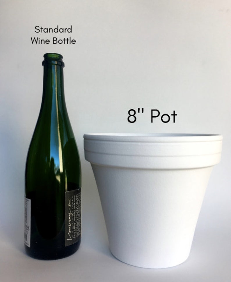 May include: A standard size wine bottle next to an 8 inch white plastic pot.