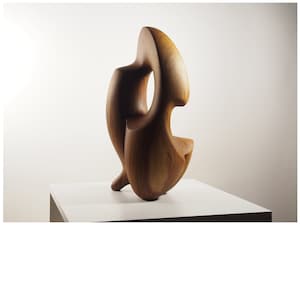 Hedendaagse abstracte houten sculptuur – handgesneden, origineel, modern – "Permeable Existence No.7"