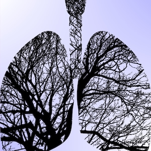 Peut inclure: Silhouette noire d'une paire de poumons avec un motif de branches d'arbre à l'intérieur.