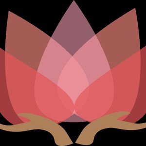 Synergie ZEN, HE de laurier noble, lavande vraie, citronnelle, petitgrain bigarade certifié Nature&progres, 100% pur, production Française