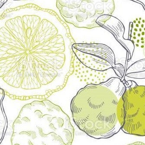 Peut inclure: Un motif sans couture représentant des illustrations dessinées à la main de divers agrumes, notamment des citrons, des limes et du bergamote. Les fruits sont représentés dans des tons de vert et de jaune, sur un fond blanc.