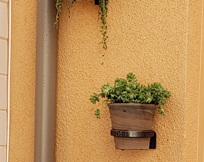 Single Hanging Planter - Bestseller