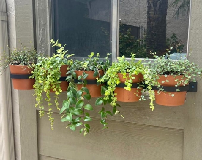 6 Inch Pot Holder, Handcrafted Iron Wall Planter for Succulents 6" Pots - Indoor/Outdoor Garden Decor, Perfect for Porch and Patio