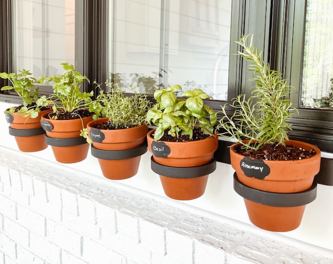 Horizontal Wall Mounted Planter