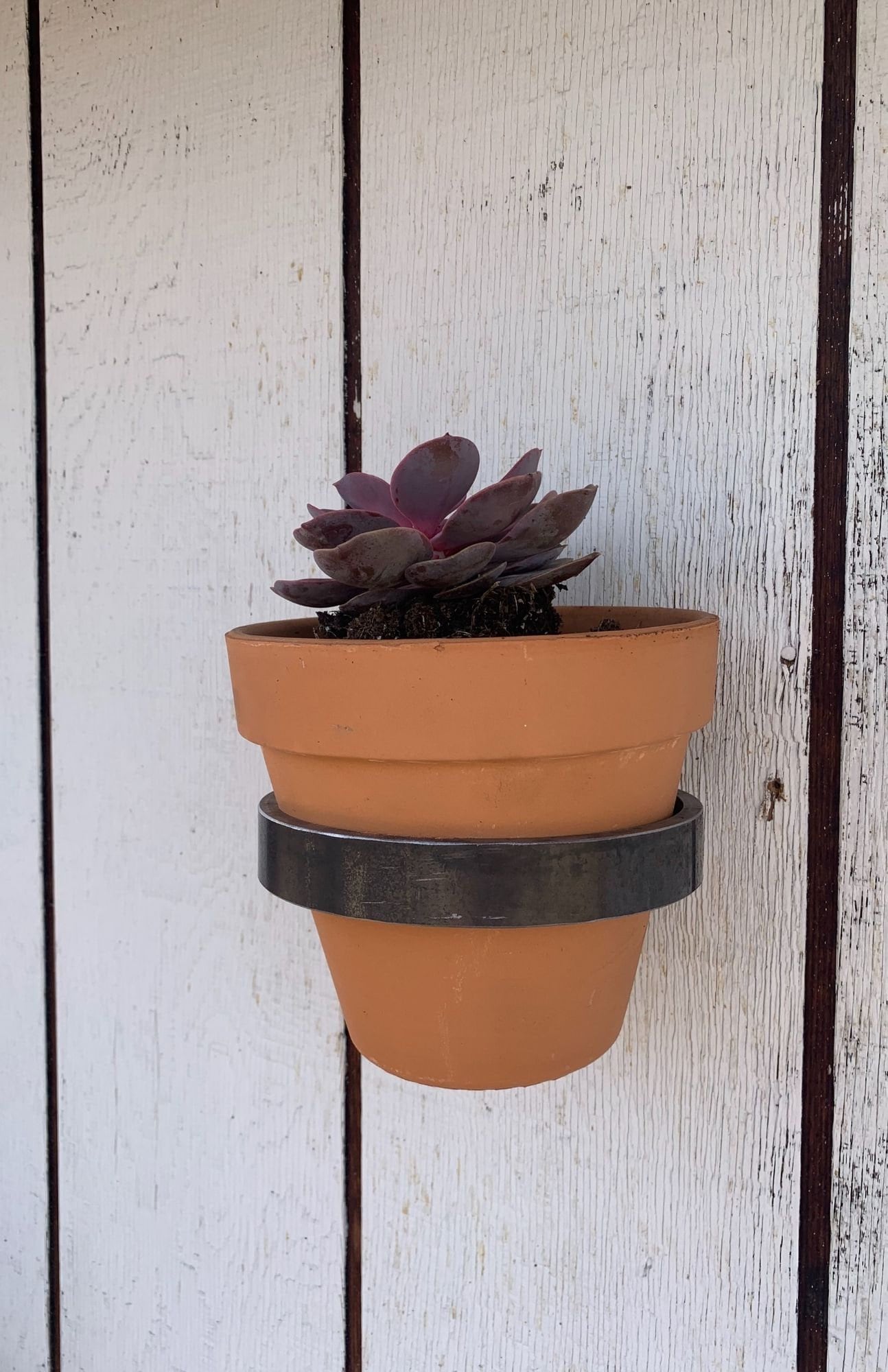 Macetas montadas en la pared Gancho para estante Soporte decorativo para  plantas Percha (Negro) Ndcxsfigh Para estrenar