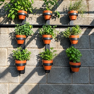 Hanging Wall Planter - 6" Round Rings