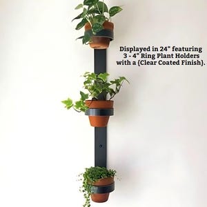 Vertical Wall Mounted Planter with 4&quot; Rings