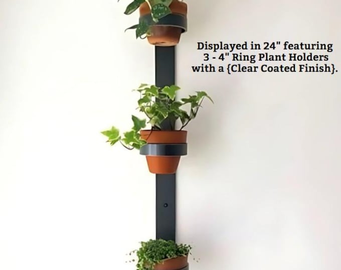 Vertical Wall Mounted Planter with 4" Rings