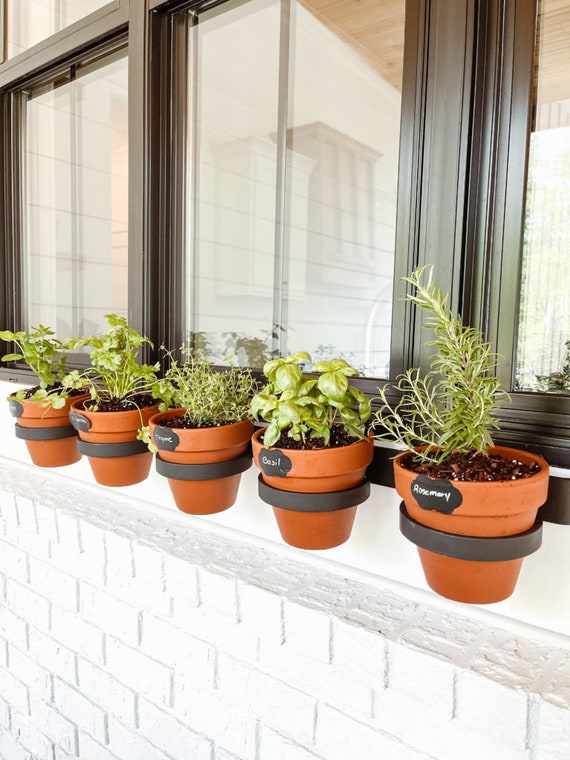 Wall mounted herb planter rack new arrivals
