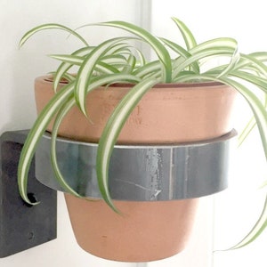 May include: A terracotta pot with a green plant with white stripes is mounted on a black wall-mounted planter.