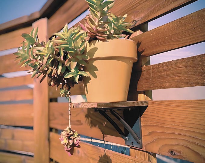 3" wide bracket with double curved support bars - SOLD INDIVIDUALLY