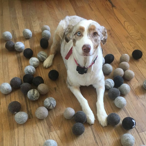 Dog Toy, wool ball play toy, fetch toy, organic and natural sheep fleece with felted balls gray, black, cream, tan and brown Free Shipping