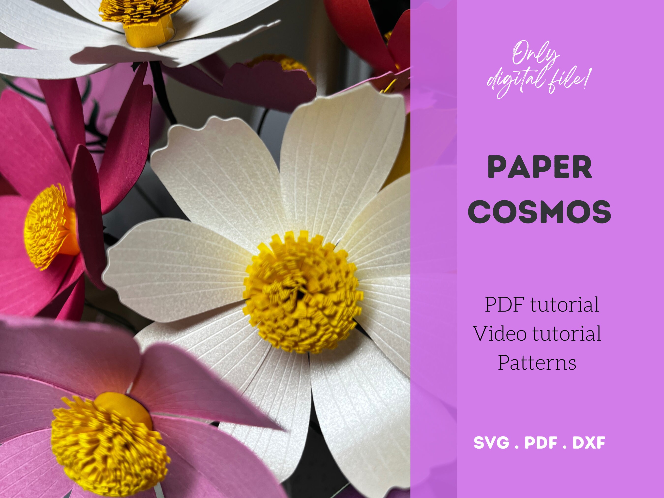3D Paper Cosmos Flower Template, SVG DXF PDF Cut Files (digital ...