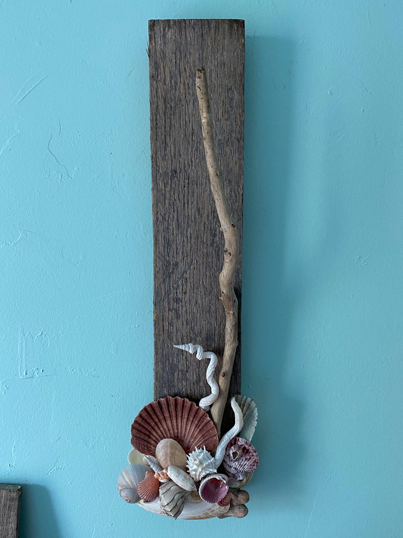 Coastal Wall Art Shell Art Beach Decor Sea Shell Decor Etsy