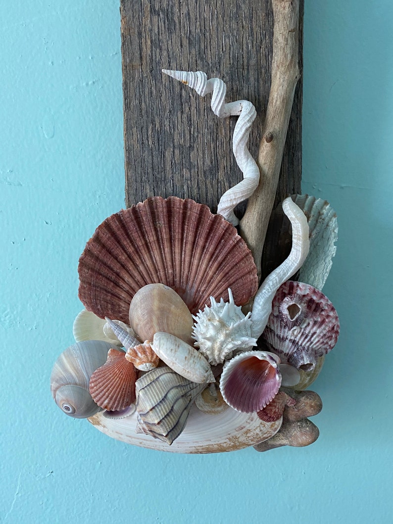 Coastal Wall Art Shell Art Beach Decor Sea Shell Decor Etsy
