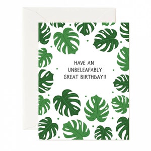 monstera card,plant birthday card,plant lover card,funny birthday card,birthday card set,plant greeting card,leaf cards,plant obsessed,bday image 1