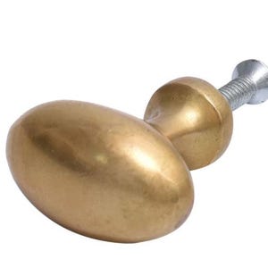 May include: A gold oval cabinet knob with a silver screw.