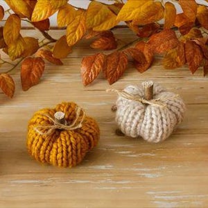 May include: Four small pumpkins crafted from chunky knit yarn in shades of dark red, mustard yellow, cream, and bright orange. Each pumpkin features a short wooden stem tied with a thin piece of natural twine, arranged in a horizontal row.
