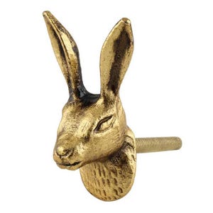 May include: A gold-colored cabinet knob in the shape of a rabbit's head. The knob has a textured surface and a threaded post for attachment. The rabbit's ears are upright, and the eyes are detailed.
