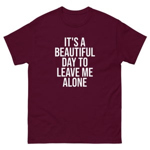 It&#39;s A Beautiful Day To Leave Me Alone T-Shirt, Funny Shirts for Me T shirt