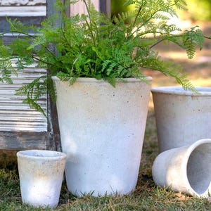 May include: Three white ceramic planters of different sizes. The largest planter is filled with a green fern plant. The planters have a textured, slightly rough surface.