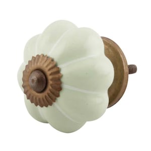 May include: A light green ceramic cabinet knob with a fluted design and a brass base.