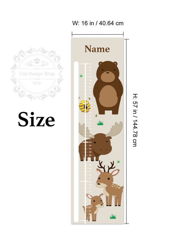 Brown Bear Size Chart