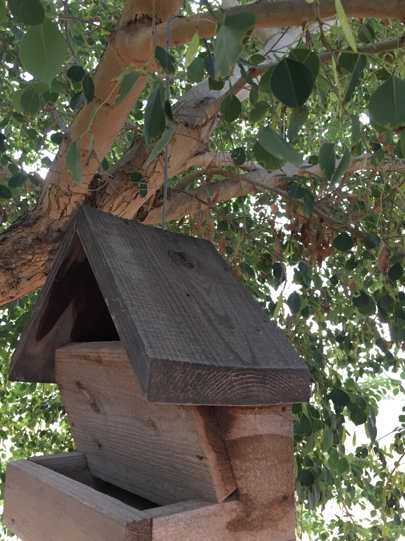 Bird feeder Birds Bird Cedar Handmade Birdfeeder
