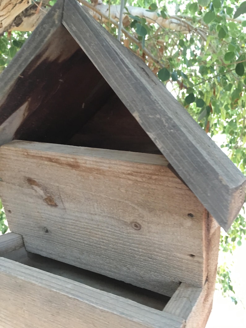 Bird feeder Birds Bird Cedar Handmade Birdfeeder