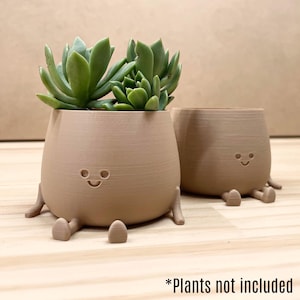 Happy Face Planter, Cute pot plant, funny planters for small plants and succulents