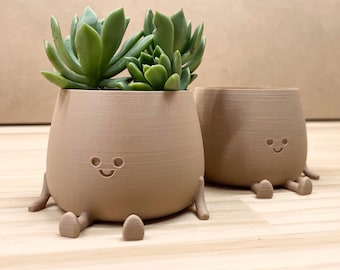 Happy Face Planter, Cute pot plant, funny planters for small plants and succulents