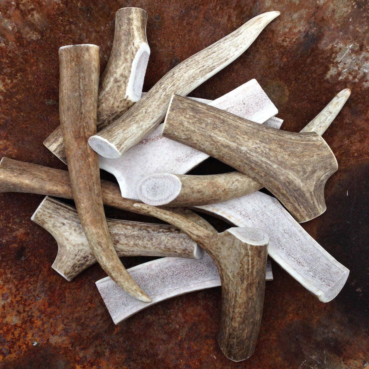 XX-Large Elk Antler Dog Chew (recommended for larger breeds)