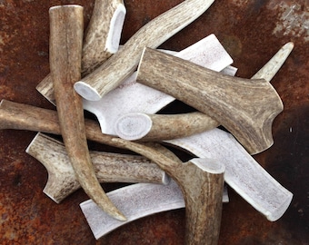 May include: A pile of various sizes and shapes of natural antler dog chews. The antler chews are a light brown color with a white, smooth surface.