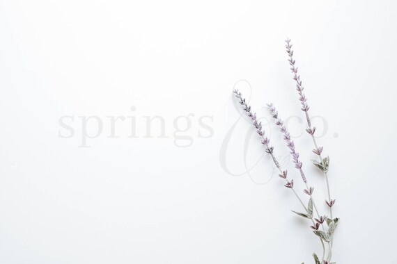 Lavender Styled Stock Photography Lavender Styled Stock Photo Social