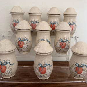 Set of 10 circa 1990's Country Geese Spice Jars w Apple & Blue Bow ~ 4.5" Tall ~ Mushroom Tops ~ Kitchen Decor