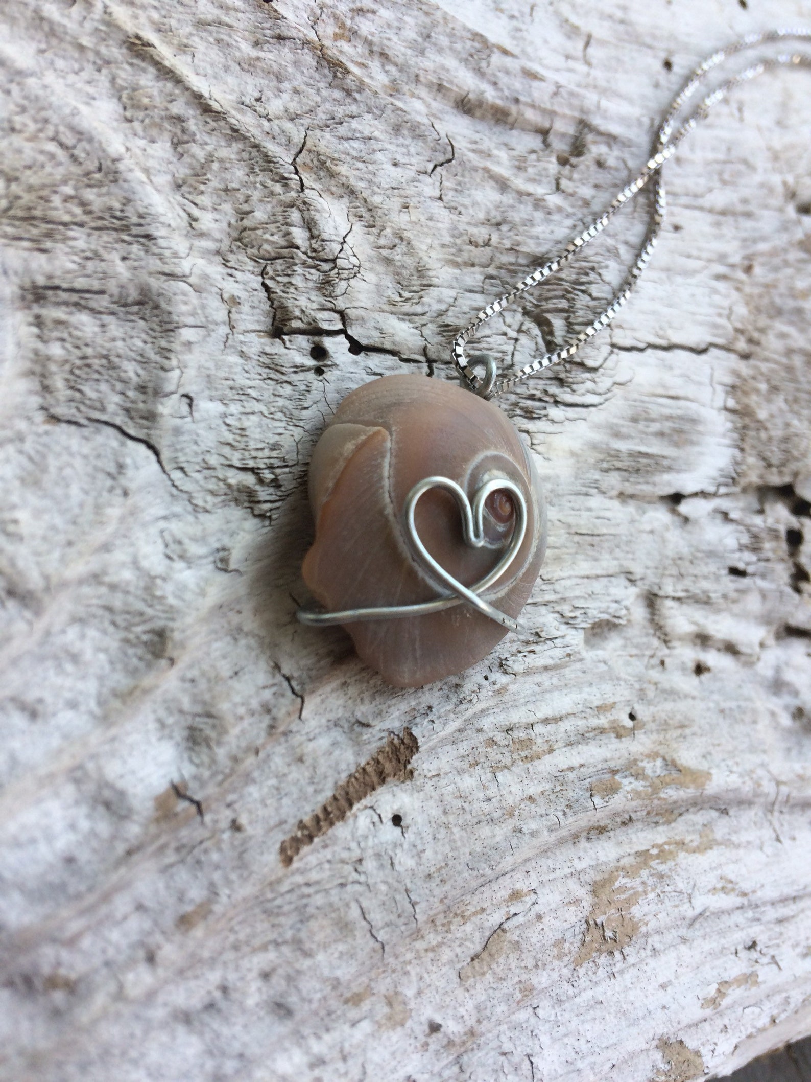 Seashell Heart Necklace Etsy