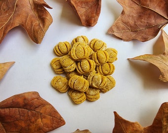 Pumpkin Biscuit with Honey Cookies For Hedgehogs | Hedgehog Cookies | Hedgehog Treats | Small Pet Treats | Hedgehog Gifts