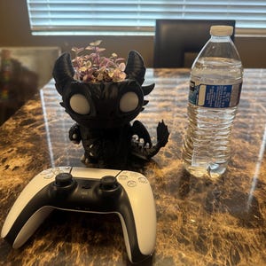 May include: A black dragon-shaped planter containing a small plant with variegated pink and green leaves, positioned next to a clear plastic water bottle and a white and black wireless video game controller on a brown marbled surface.