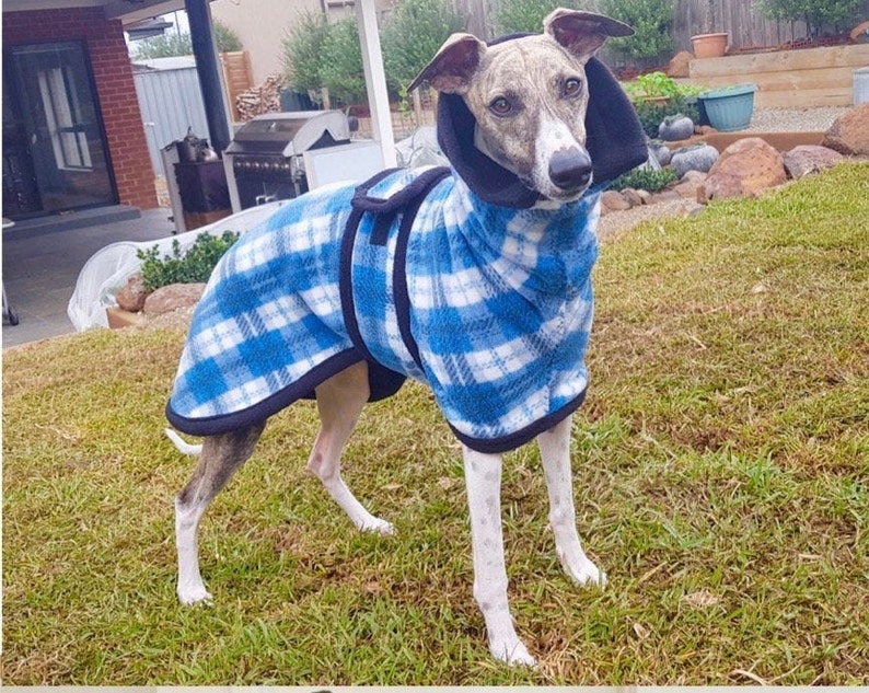 Whippet& Iggy Warm Fleece Coats Blue Check