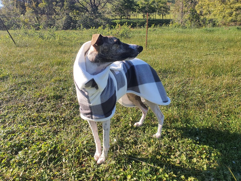 Price Reduced Whippet & Iggy Coats Etsy