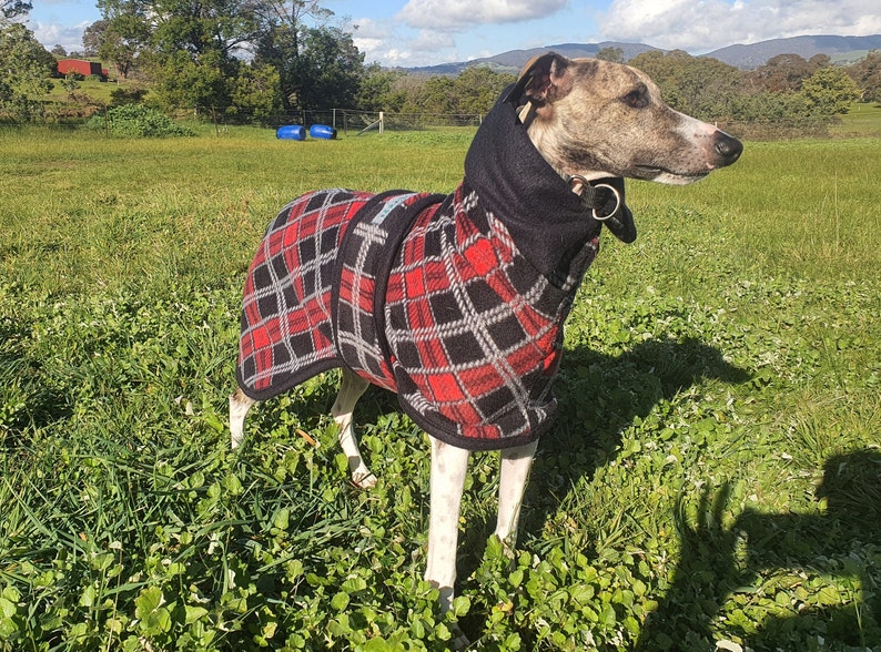 Whippet& Iggy Warm Fleece Coats Red Tartan