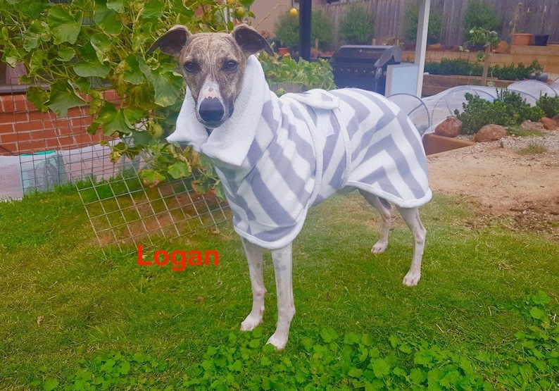 Sml Size XXS Greyhound Winter Cozy Jackets