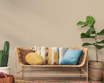 May include: A rattan sofa with several decorative pillows in shades of brown, yellow, and blue. A colorful patterned rug is on the floor. A potted cactus and a large potted plant are on either side of the sofa.