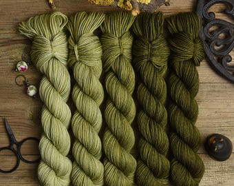 MINI skein set of 5 skeins, hand dyed, fingering weight, sw merino wool, nylon, fade set, 5x85m=100g, Classic Sock "Moorland"