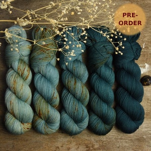 PRE-ORDER!!! Fade set of 5 skeins, hand dyed, fingering weight, superwash merino wool, 5 x 365m/100g, "Riders on the Storm"