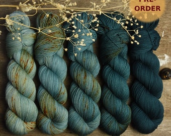 PRE-ORDER!!! Fade set of 5 skeins, hand dyed, fingering weight, superwash merino wool, 5 x 365m/100g, "Riders on the Storm"