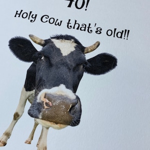 Pu&ograve; includere: Un biglietto di auguri di compleanno divertente con una mucca bianco e nero e il testo "40! Holy Cow that's old!"